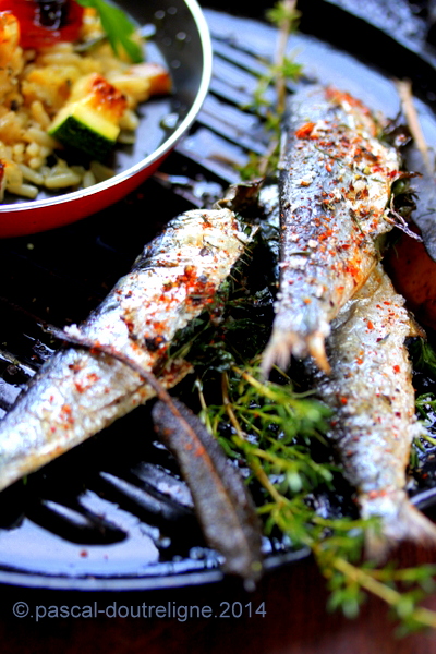 sardines grillées aux herbes