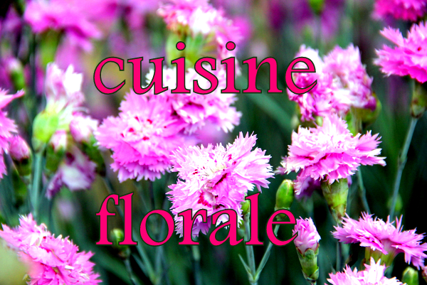 illustration cuisine florale-oeuillets titre