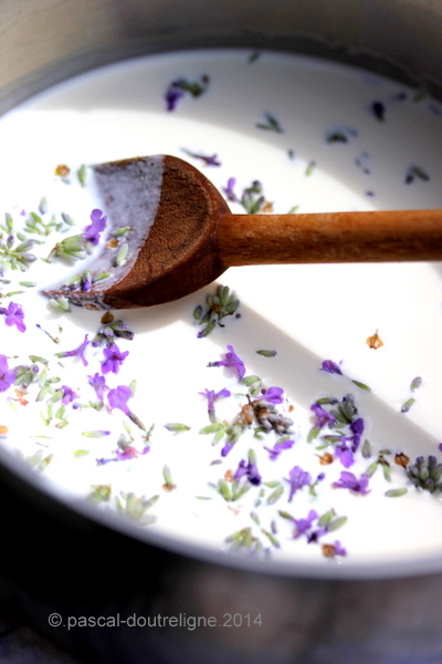 illustration cuisine florale crème lavande