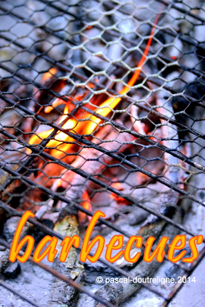 illustration barbecues 2014