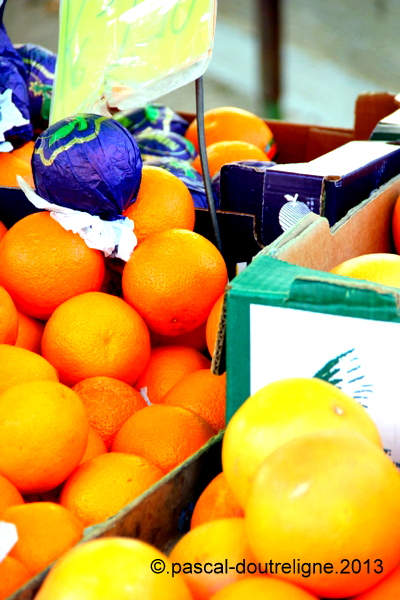 illustration marché oranges